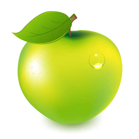 Green Apple With Water Drop, Isolated On White Backgroundのイラスト素材