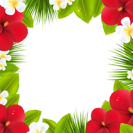 Green Border With Tropical Elements, Isolated On White Backgroundのイラスト素材