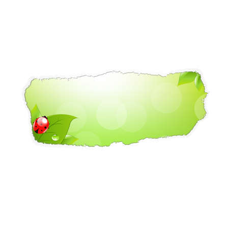 Paper Hole With Leaf And Ladybug With Gradient Mesh, Illustrationのイラスト素材