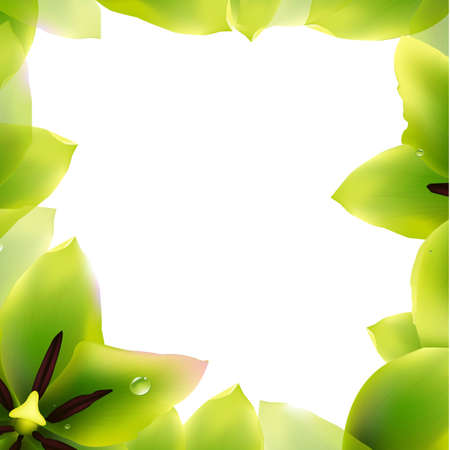 Border Of Green Tulips With Gradient Mesh, Vector Illustrationのイラスト素材