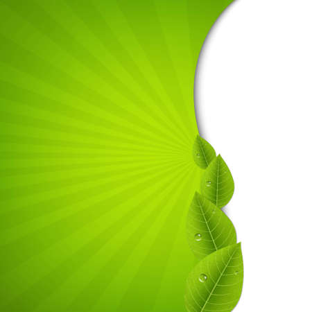 Green Burst Poster With Leaves, With Gradient Mesh, Vector Illustrationのイラスト素材