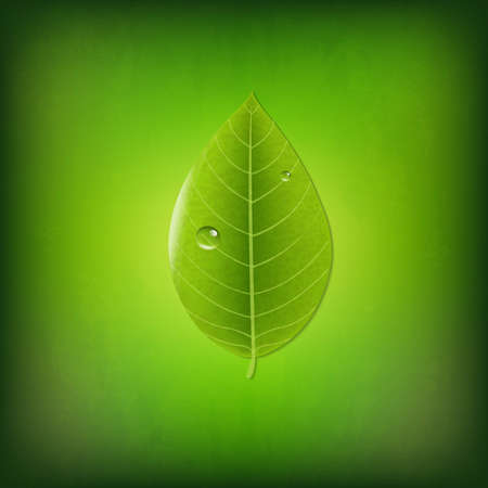Grunge Green Background With Green Leaf, With Gradient Mesh, Vector Illustrationのイラスト素材