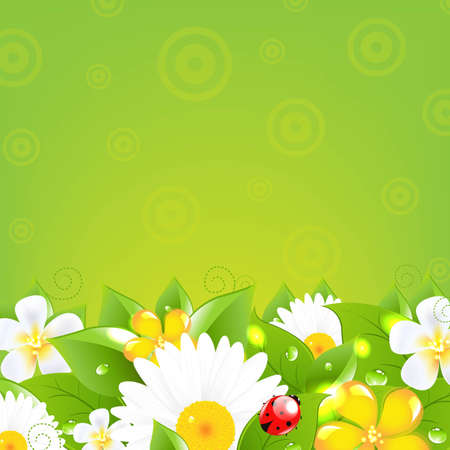 Borders With Grass And Colorful Flowers, With Gradient Mesh, Vector Illustrationのイラスト素材