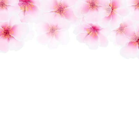 Pink Cherry Flower Border, With Gradient Mesh, Vector Illustrationのイラスト素材