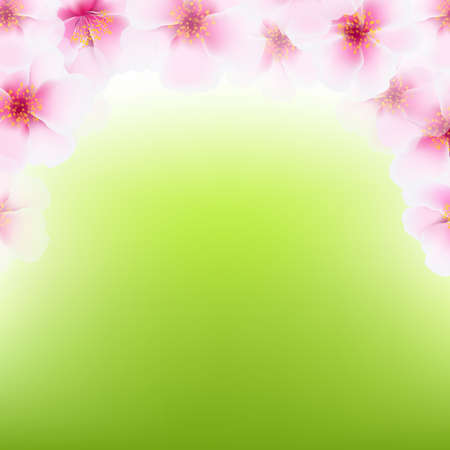 Pink Cherry Flower Frame, With Gradient Mesh, Vector Illustrationのイラスト素材