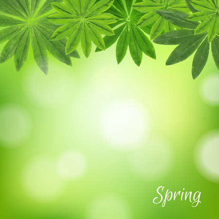 Spring Poster, With Gradient Mesh, Vector Illustrationのイラスト素材