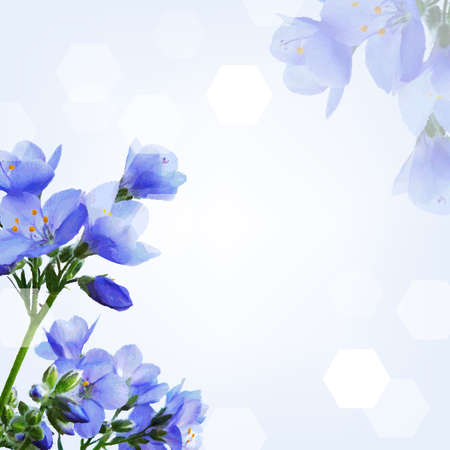 Blue Flower, With Gradient Mesh Illustrationのイラスト素材