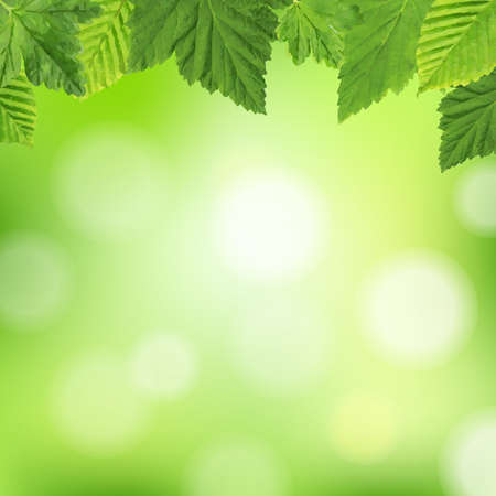 Spring Poster, With Gradient Mesh Illustrationのイラスト素材