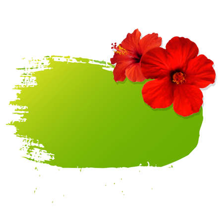 Summer Banner Blot With Flower, Vector Illustrationのイラスト素材
