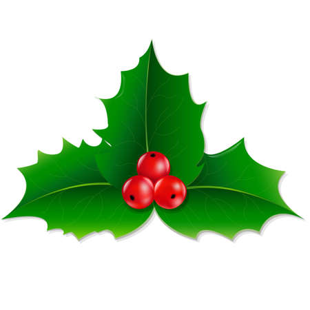 Holly Berry With Gradient Mesh, Vector illustrationのイラスト素材