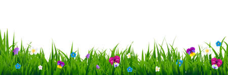 Flowers Border With Gradient Mesh, Illustrationのイラスト素材