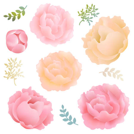 Flowers Peony With Gradient Mesh, Vector Illustrationのイラスト素材