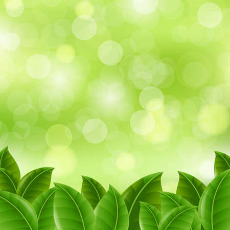Green Banner With Leaves Gradient Mesh, Vector Illustrationのイラスト素材