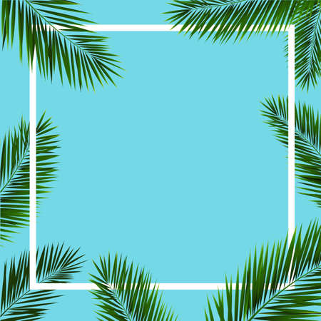 Frame With Palm Trees, Vector Illustrationのイラスト素材