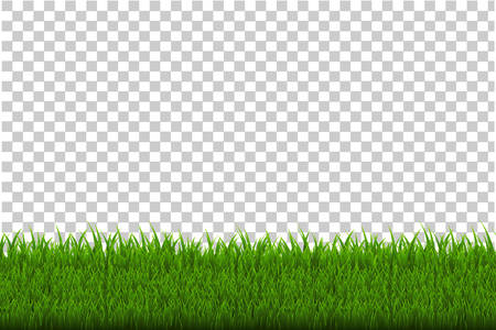 Green Grass Border, Vector Illustrationのイラスト素材
