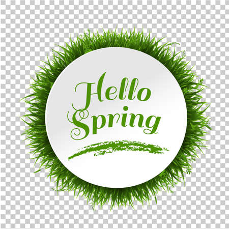 Banner With Grass Border Isolated Transparent Background, Vector Illustrationのイラスト素材