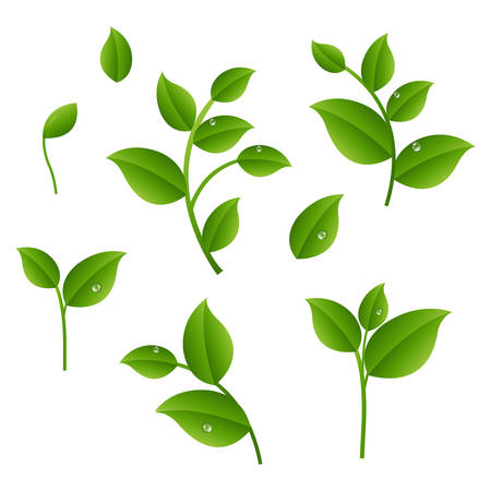 Green Branches With Leaves With Gradient Mesh, Vector Illustrationのイラスト素材