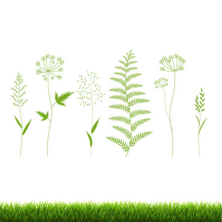 Grass Set Isolated White Background, Vector Illustrationのイラスト素材
