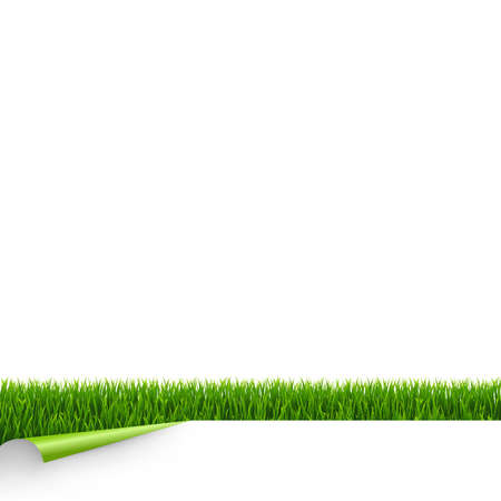 Green Grass Border With White Paper And Corner With Gradient Mesh, Vector Illustrationのイラスト素材