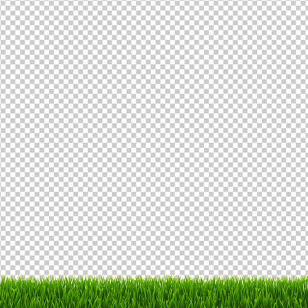 Grass Border Transparent Background, Vector Illustrationのイラスト素材