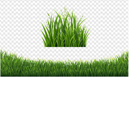Green Grass Frame Set In Isolated White Background, Vector Illustrationのイラスト素材