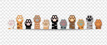 Cat Paw Border Isolated Transparent background With Gradient Mesh, Vector Illustrationのイラスト素材