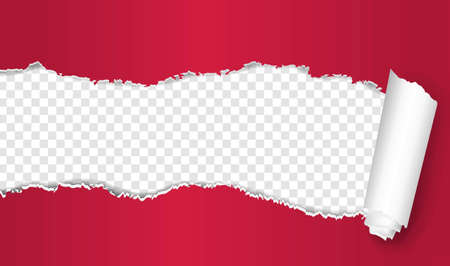 Torn Ped Paper With Transparent Background With Gradient Mesh, Vector Illustrationのイラスト素材