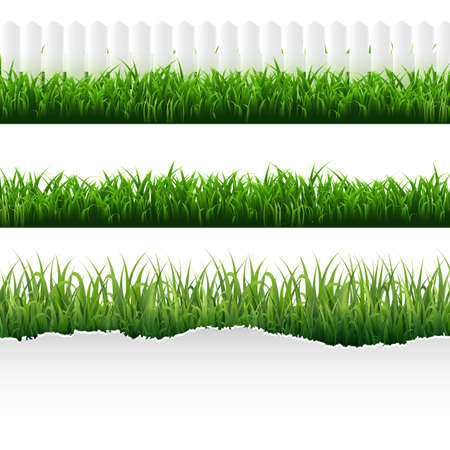 Green Torn Paper With Grass Set With Gradient Mesh, Vector Illustration.のイラスト素材