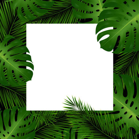 Tropical Leaves And White Paper Banner With Gradient Mesh, Vector Illustrationのイラスト素材