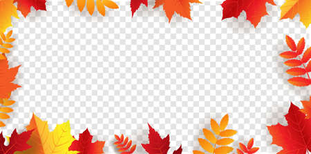 Autumn Border With Bright Leaves Transparent Background With Gradient Background, Vector Illustrationのイラスト素材