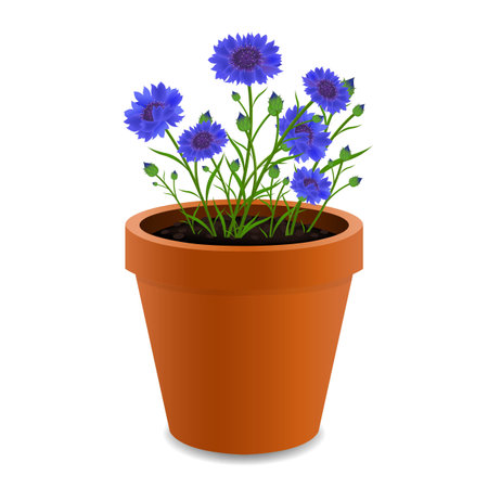 Ceramic Pot With Blue Cornflowers With Gradient Mash, Vector Illustrationのイラスト素材