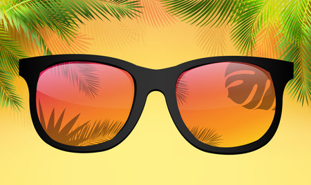 Palm Tree Branch Border And White Background With Gradient Mesh, Vector Illustrationの写真素材
