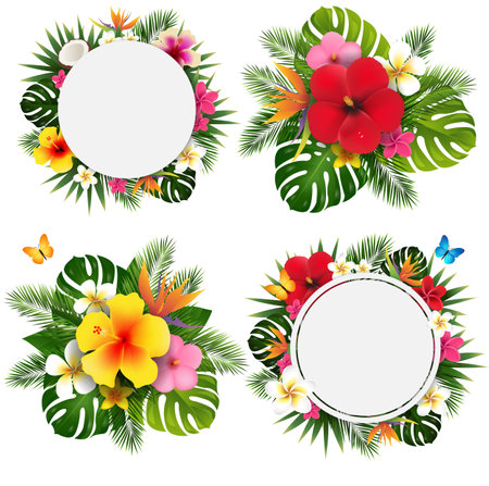 Palm Leaves And Flowers Collection Frame Isolated White Background With Gradient Mesh, Vector Illustrationの写真素材