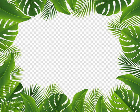 Tropical Leaves Frame And Isolated Transparent Background , Vector Illustrationのイラスト素材