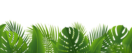 eTropical Leves Border Isolated White Background With Gradient Mesh, Vector Illustrationのイラスト素材