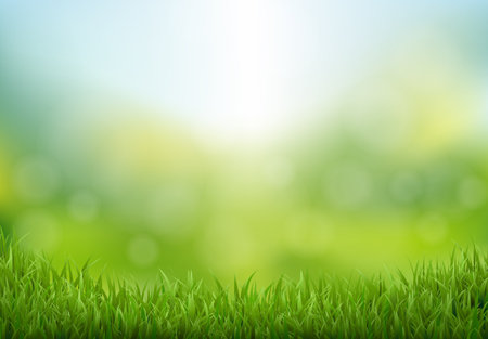 Nature Landscape With Grass Border With Gradient Mesh, Vector Illustrationの写真素材