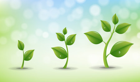 Green Sprout Set With Water Drop Nature Background With Gradient Mesh, Vector Illustrationの写真素材