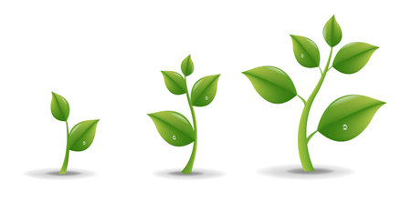 Green Sprout Set With Water Drop White Background With Gradient Mesh, Vector Illustrationのイラスト素材
