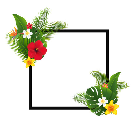 Palm Tree Leaves Leaves Black Frame With Gradient Mesh, Vector Illustrationの写真素材