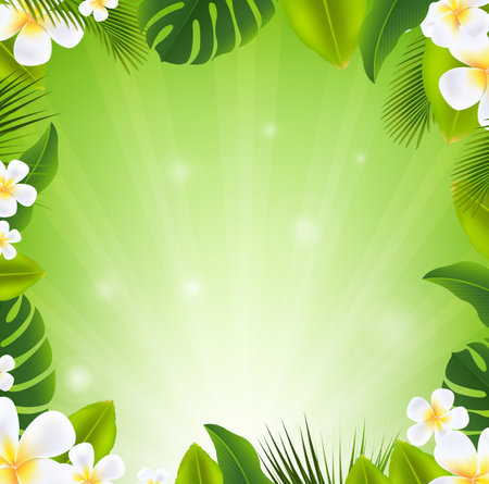 Frame With Frangipani And Leavesの写真素材