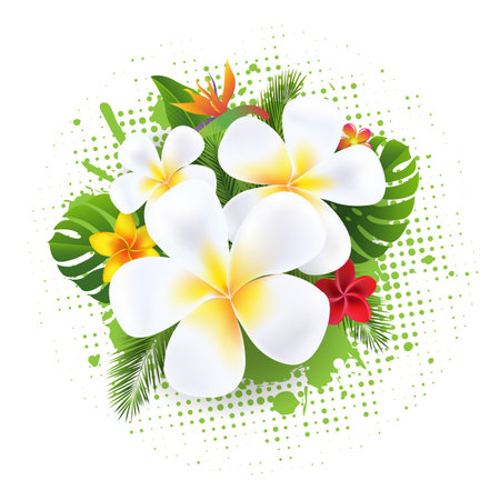 Frangipani With Tropical Flowers Banner With Gradient Mesh, Vector Illustrationの写真素材