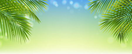 Poster With Green Palm Leaves And Blur With Gradient Mesh, Vector Illustrationの写真素材