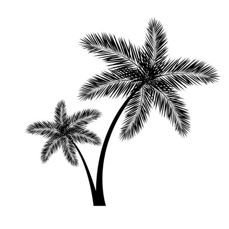 Tropical Tree With Leaves Silhouette, Vector Illustrationのイラスト素材