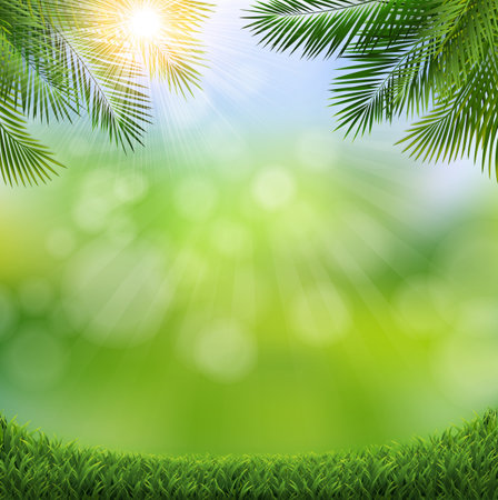 Summer Banner With Tropical Trees With Gradient Mesh, Vector Illustrationの写真素材