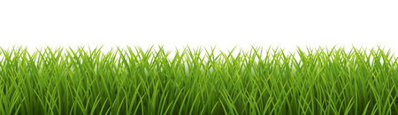 Grass Border And With White Background Isolated Background, Vector Illustrationのイラスト素材