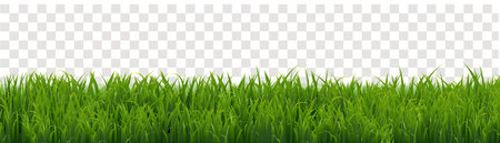 green grassのイラスト素材