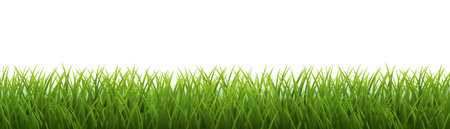 grass borderのイラスト素材