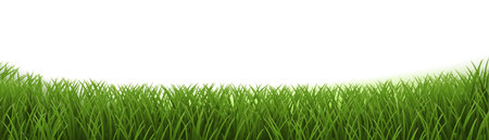 Green grass Panorama And Isolated White Background With Gradient Mesh, Vector Illustrationのイラスト素材