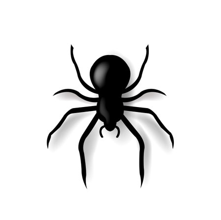 Spider And Isolated White Background With Gradient Mesh, Vector Illustrationのイラスト素材