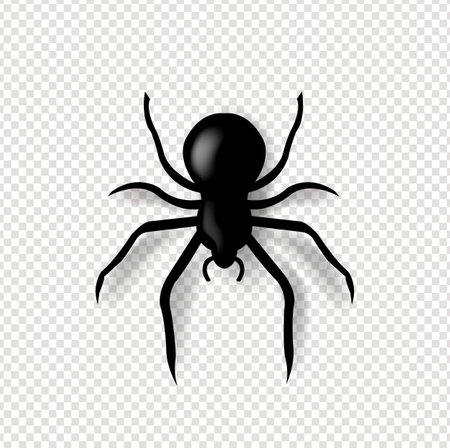 Spider And Isolated Transparent Background With Gradient Mesh, Vector Illustrationのイラスト素材